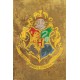 Pôster de Hogwarts, Harry Potter