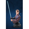 Anakin Skywalker Star Wars : The Clone Bust