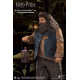 FIGURA HARRY POTTER REBEUS HAGRID 2.0