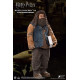 FIGURA HARRY POTTER REBEUS HAGRID 2.0