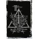 Poster Van Harry Potter En De Deathy Hallows