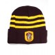 Chapeau, Harry Potter Gryffondor Bouclier