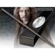 Bacchetta collezione di Sirius Black ed. carattere