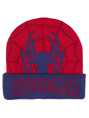 Chapeau Spiderman