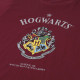 PIJAMA LARGO HARRY POTTER