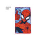 NECESER ASEO VIAJE ACCESORIOS SPIDERMAN