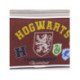 ESTUCHE PORTATODO 2 COMPARTIMENTOS HARRY POTTER