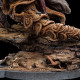 FIGURA ESCALA 1/6 CRISTAL OSCURO URVA EL ARQUERO