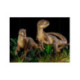 Figura Jurassic Park Dos Velociraptores Deluxe