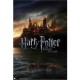 Affiche Harry Potter et les reliques de la mort