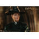 Figura deluxe de Minerva Mcgonagal de Harry Potter