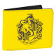 BILLETERO HARRY POTTER HUFFLEPUFF