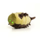 Peluche Hive Worm de Destiny 2
