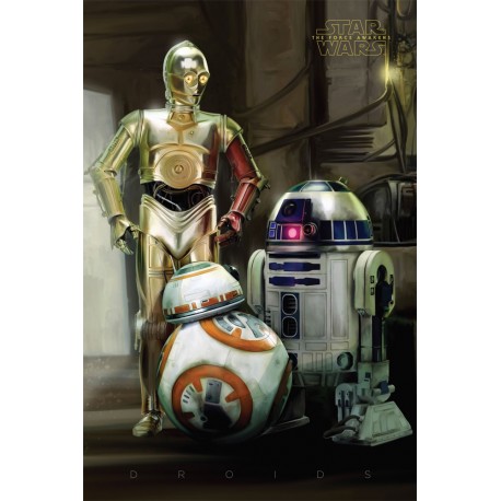 Poster Star Wars Androides