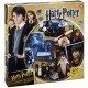 Puzzel van Harry Potter, Steen der wijzen