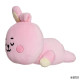 Mini Cojin Bt21 Cooky