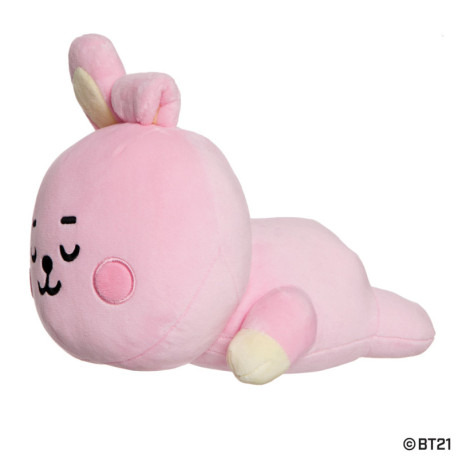 Mini Cojin Bt21 Cooky