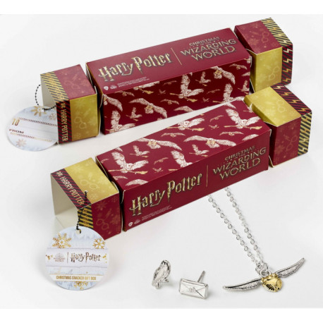 Caja Regalo Harry Potter Hedwi