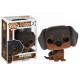 Huisdieren Funko Pop Buddy