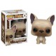 Huisdieren Funko Pop-Franse Bulldog