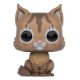 Huisdieren Funko Pop verdwaalde Kitten