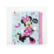 Album à colorier Minnie Mouse pour enfants Disney