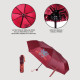 PARAGUAS MANUAL PLEGABLE ESCOLAR HARRY POTTER