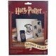 Set vinyl stickers Harry Potter