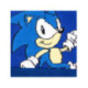 GORRO PUNTO SONIC
