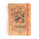 Agenda Escolar 2023/2024 A5 Disney 100 Aniversario