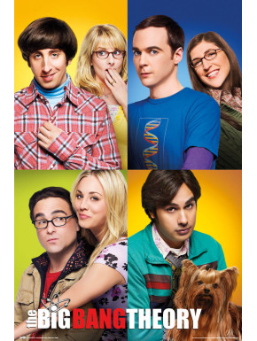Poster The Big Bang Theory Mosaico