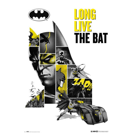 Poster Dc Comics Batman 80 Aniversario