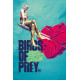Poster Birds Of Prey Broken Heart