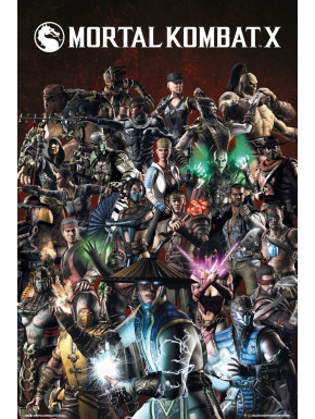 Poster Mortal Kombat Personajes