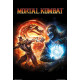 Poster Mortal Kombat 9 Videojuego