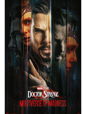 Poster Marvel Doctor Strange Multiverse Doctors
