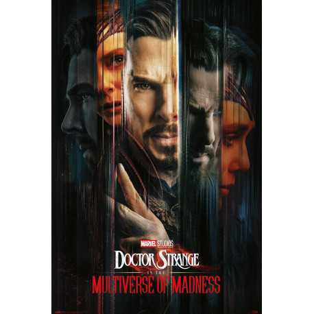 Poster Marvel Doctor Strange Multiverse Doctors