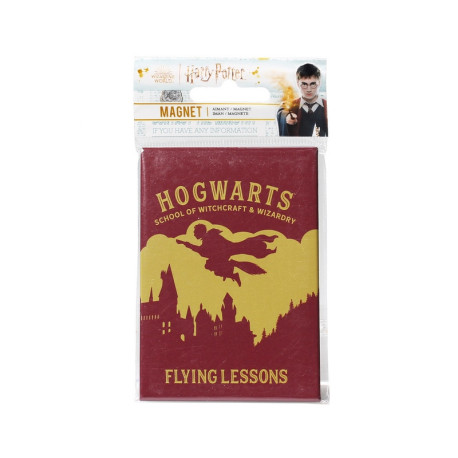 Iman Metalico Harry Potter Flying Lessons