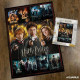 Puzzle Harry, Hermione y Ron Harry Potter