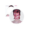 Puzzle 450 pièces David Bowie Aladdin Disco Pieces