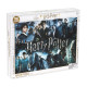 Puzzle De 1000 Piezas Harry Potter Posters