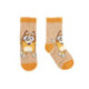 SOCKS PACK 5 PIECES BLUEY