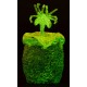 Kartonnen Eieren Alien luminescent