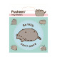 Set Pegatinas stickers Pusheen Lazy