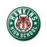 Pin Stranger Things Hawkins High School