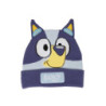HAT PUNTO APPLICATIONS BLUEY