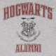 Sudadera corta Harry Potter Hogwarts