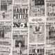 Funda cojín El Profeta Diario Harry Potter
