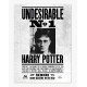Póster Indeseable Nº1 Harry Potter