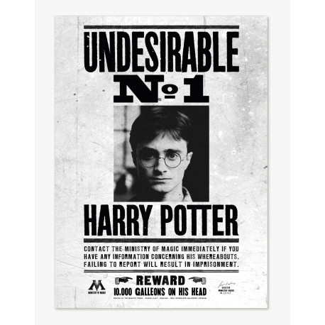 Póster Indeseable Nº1 Harry Potter